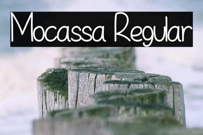 Mocassa Regular Example 2