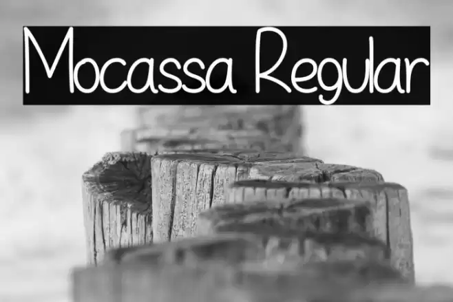 Mocassa Regular Font examples