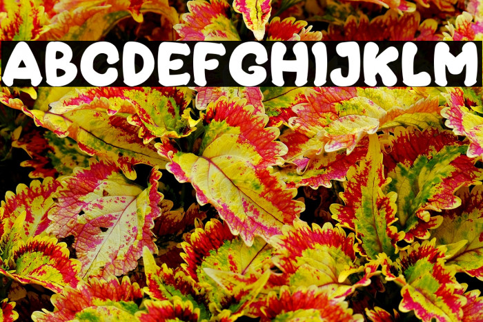 MoccaSweet Example 1