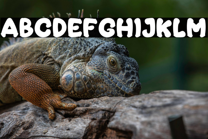 MoccaSweet Example 3