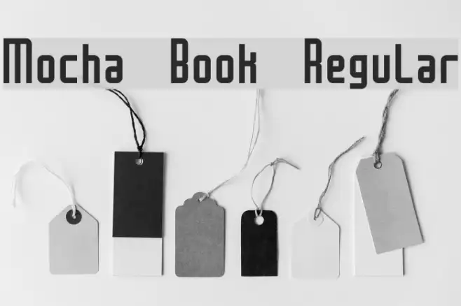 Mocha Book Regular Example 1