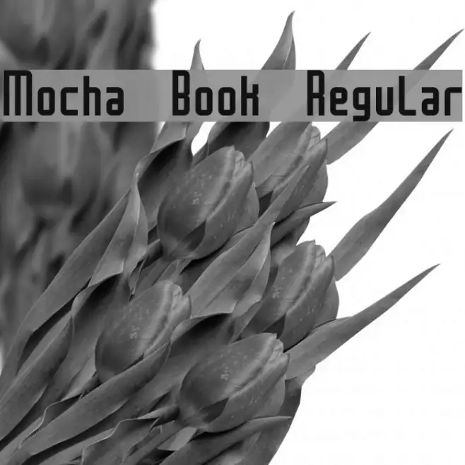 Mocha Book Regular Example 3