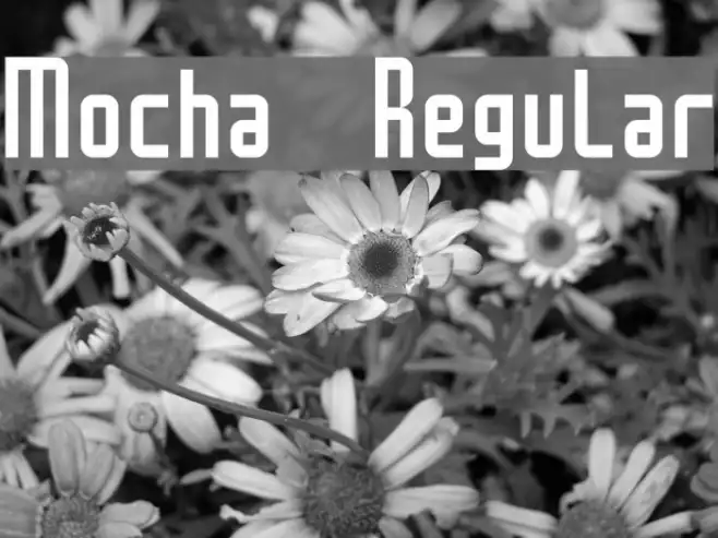Mocha Regular Example 3
