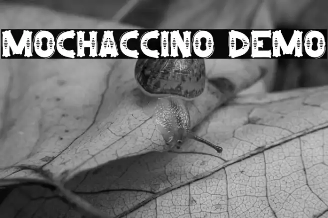 Mochaccino Demo Example 1