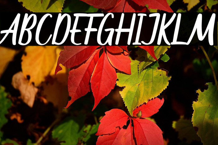 Mochalosta Example 3