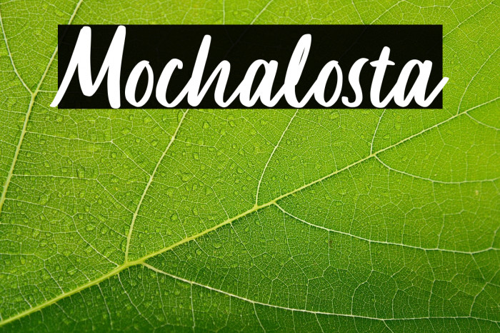 Mochalosta Example 2