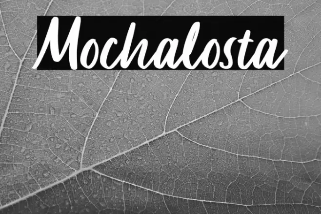 Mochalosta Font examples