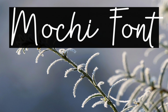 Mochi Example 3