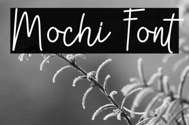 Mochi Font examples