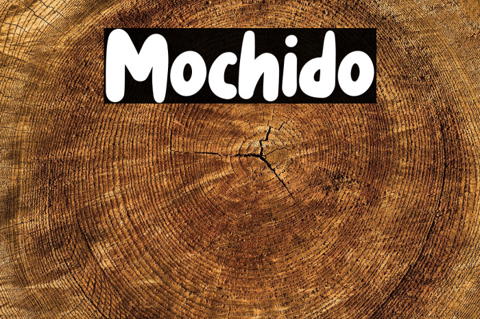 Mochido Example 2