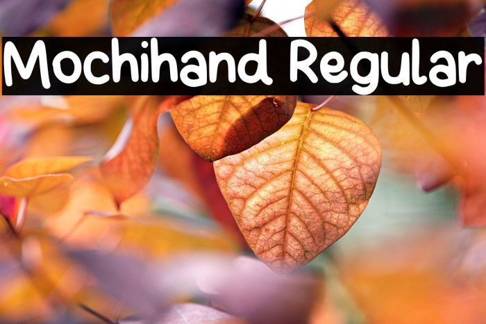 Mochihand Regular Example 1