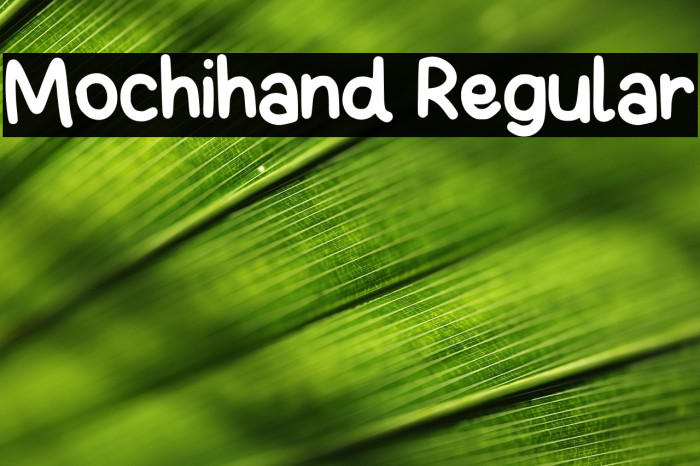 Mochihand Regular Example 2