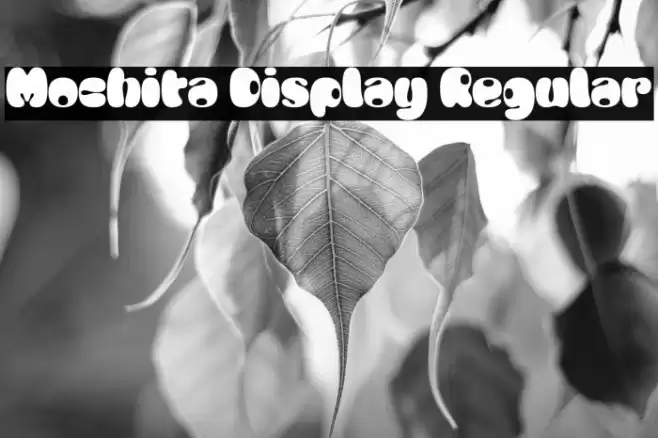 Mochita Display Regular خط examples