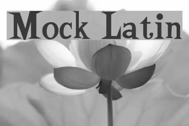 Mock Latin Font examples