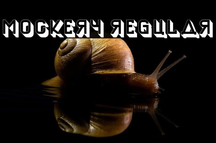 Mockery Regular Example 2