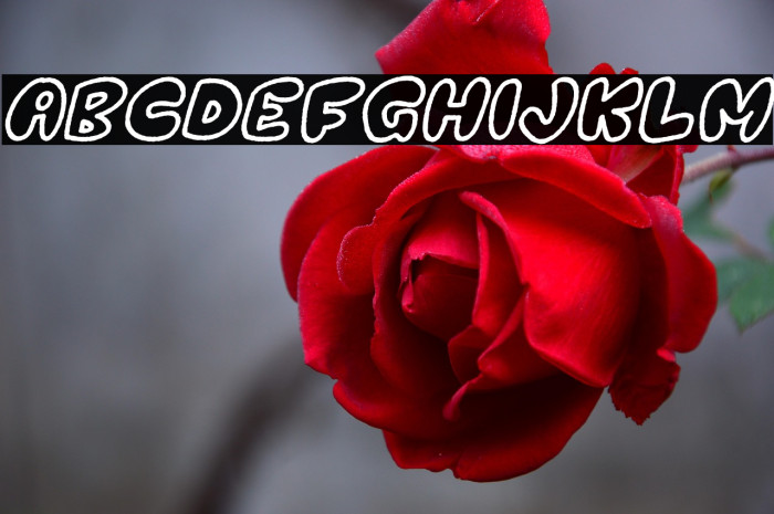 Mockind Easter Outline Italic Example 2