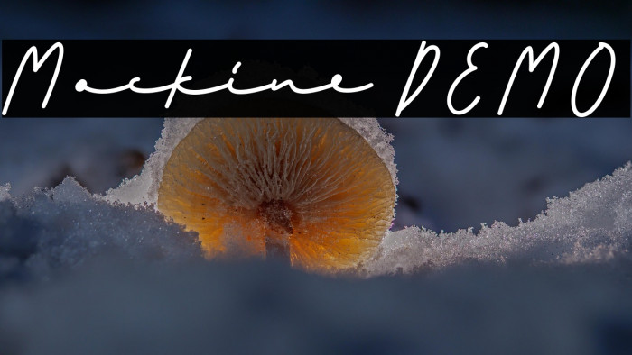 Mockine DEMO Example 2