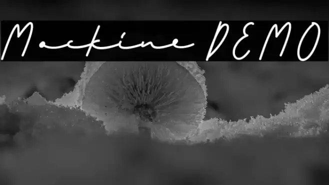 Mockine DEMO Font examples