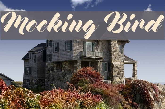 Mocking Bird Font examples