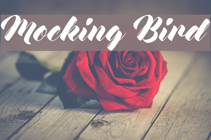Mocking Bird Font examples