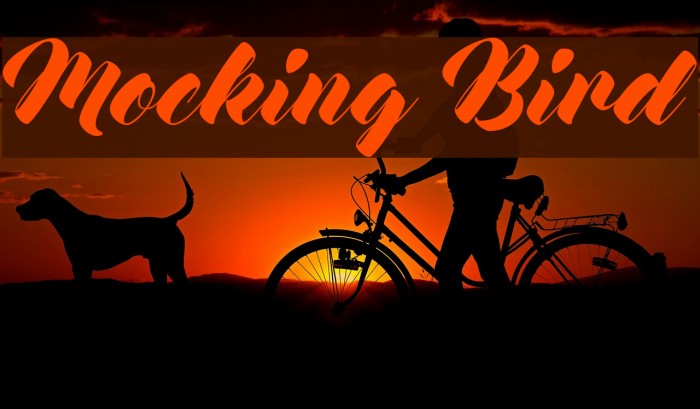 Mocking Bird Font examples