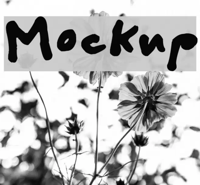 Mockup Font examples