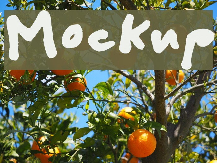 Mockup Font examples