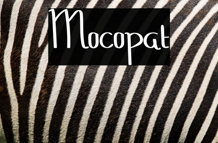 Mocopat Example 3