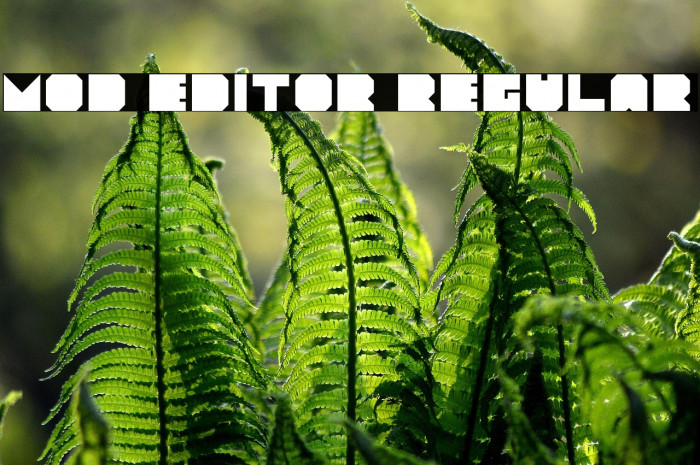 Mod Editor Regular Example 2