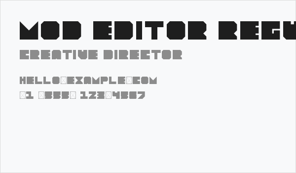 Mod Editor Regular Business Card