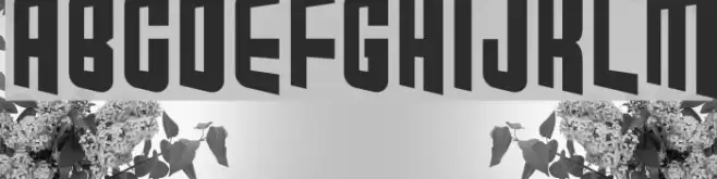 Mod Guitars Font examples