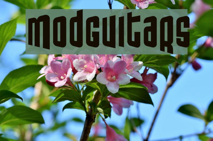 ModGuitars Font examples