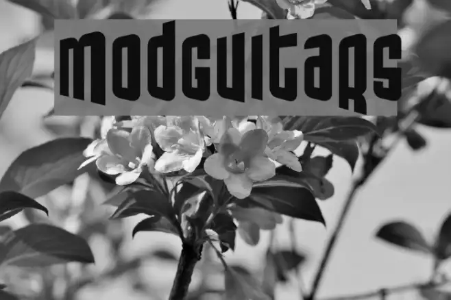 ModGuitars Example 2
