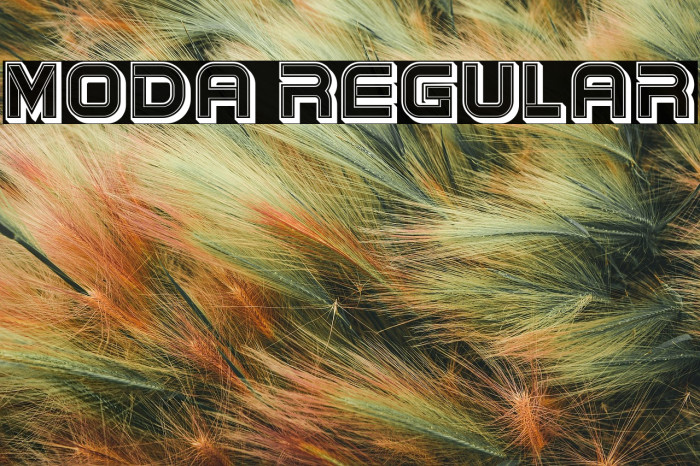 Moda Regular Example 3