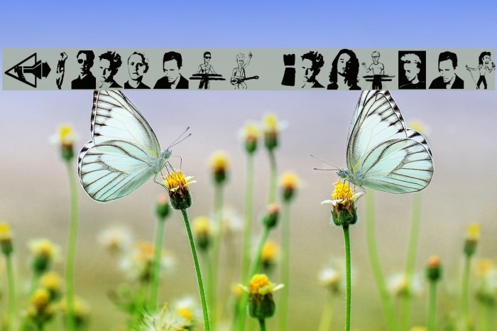 Modebats Regular Example 1