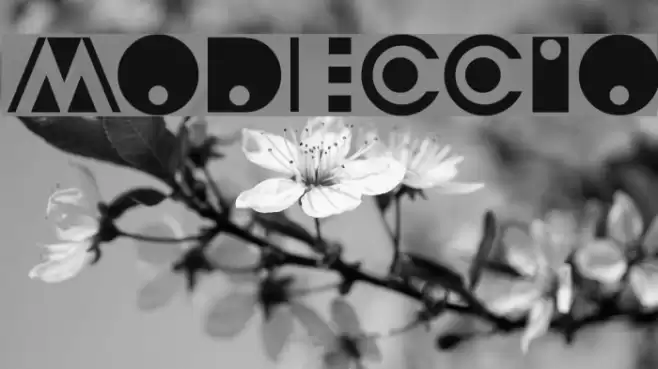 Modeccio Font examples