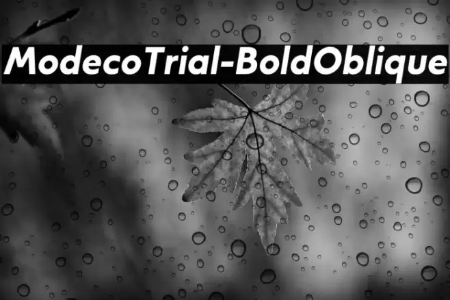 ModecoTrial-BoldOblique Font examples