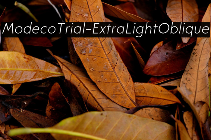 ModecoTrial-ExtraLightOblique Example 1