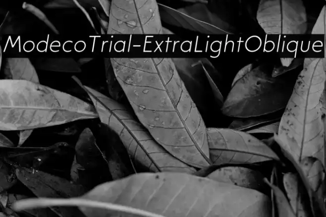 ModecoTrial-ExtraLightOblique Example 1
