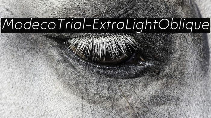 ModecoTrial-ExtraLightOblique Example 2