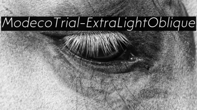ModecoTrial-ExtraLightOblique Example 2