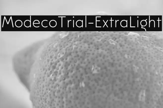ModecoTrial-ExtraLight Example 2