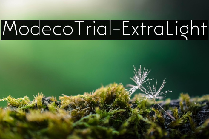 ModecoTrial-ExtraLight Example 3