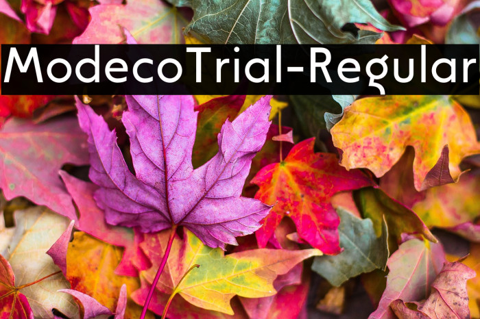 ModecoTrial-Regular Example 1