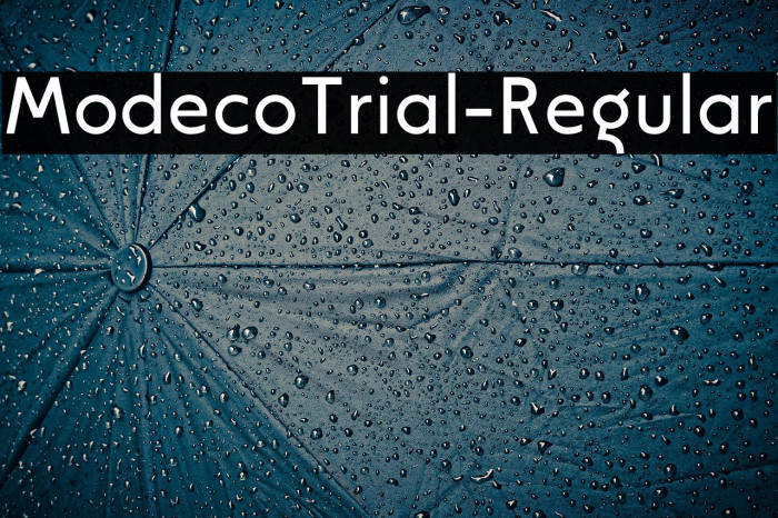 ModecoTrial-Regular Example 3