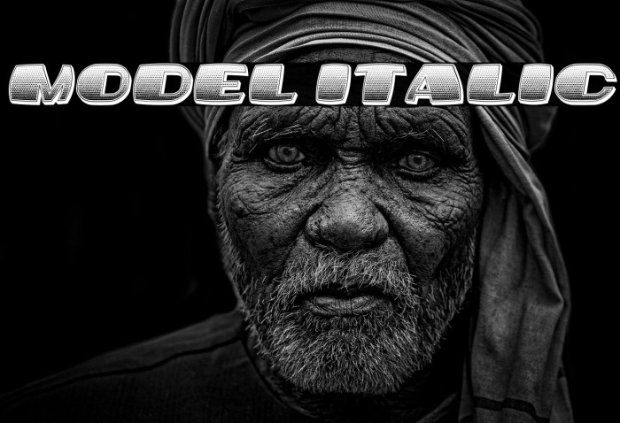 Model Italic Example 1