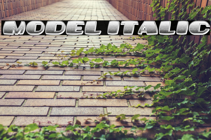 Model Italic Example 2