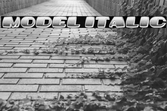 Model Italic Example 2