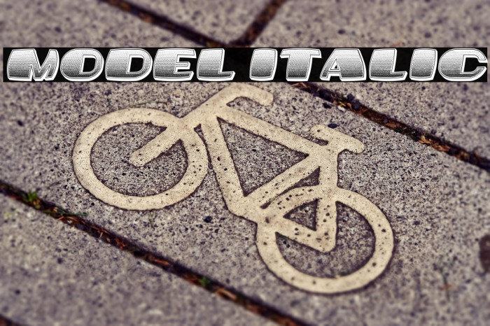 Model Italic Example 3