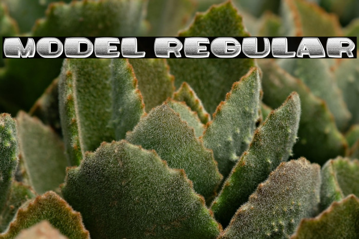 Model Regular Example 2